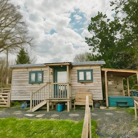 Lle Mary - Beautiful Views, Hot Tub, Secluded, Dog Welcome, Barmouth Llanddwywe Ngoại thất bức ảnh