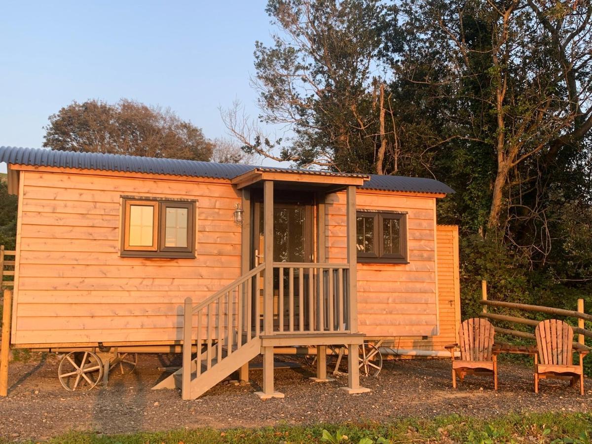 Lle Mary - Beautiful Views, Hot Tub, Secluded, Dog Welcome, Barmouth Llanddwywe Ngoại thất bức ảnh