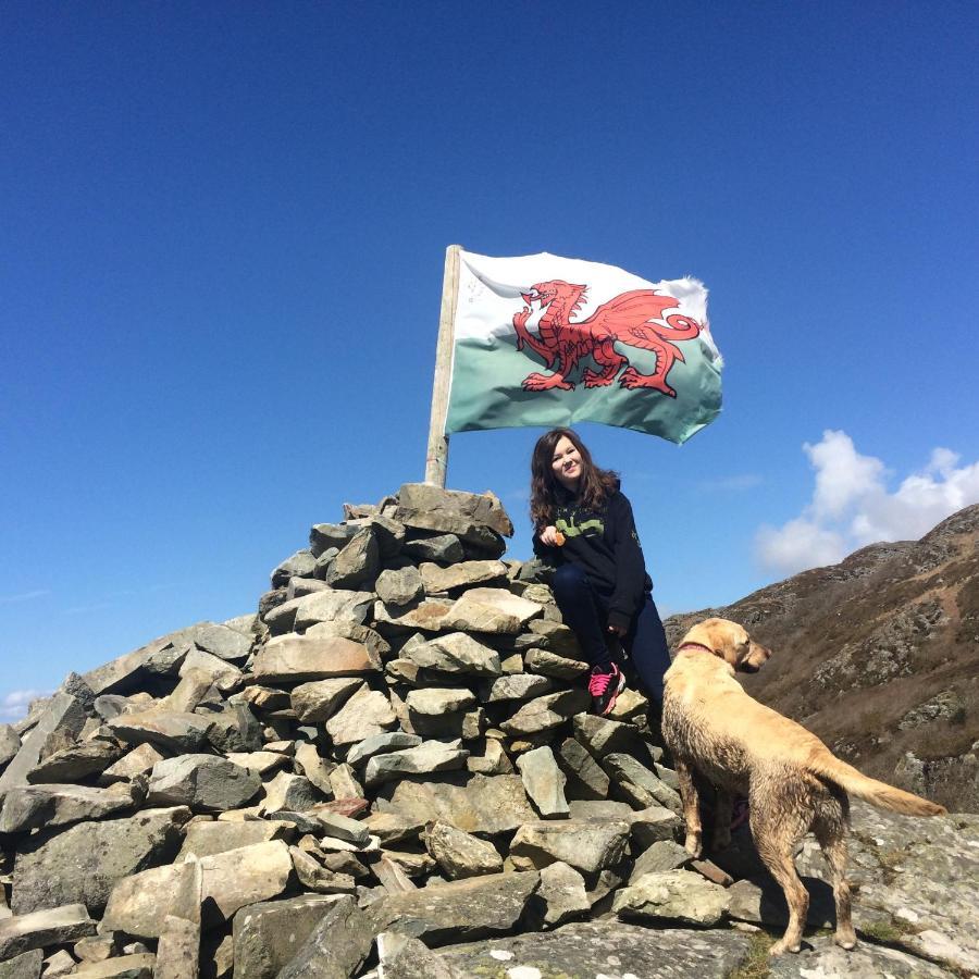 Lle Mary - Beautiful Views, Hot Tub, Secluded, Dog Welcome, Barmouth Llanddwywe Ngoại thất bức ảnh