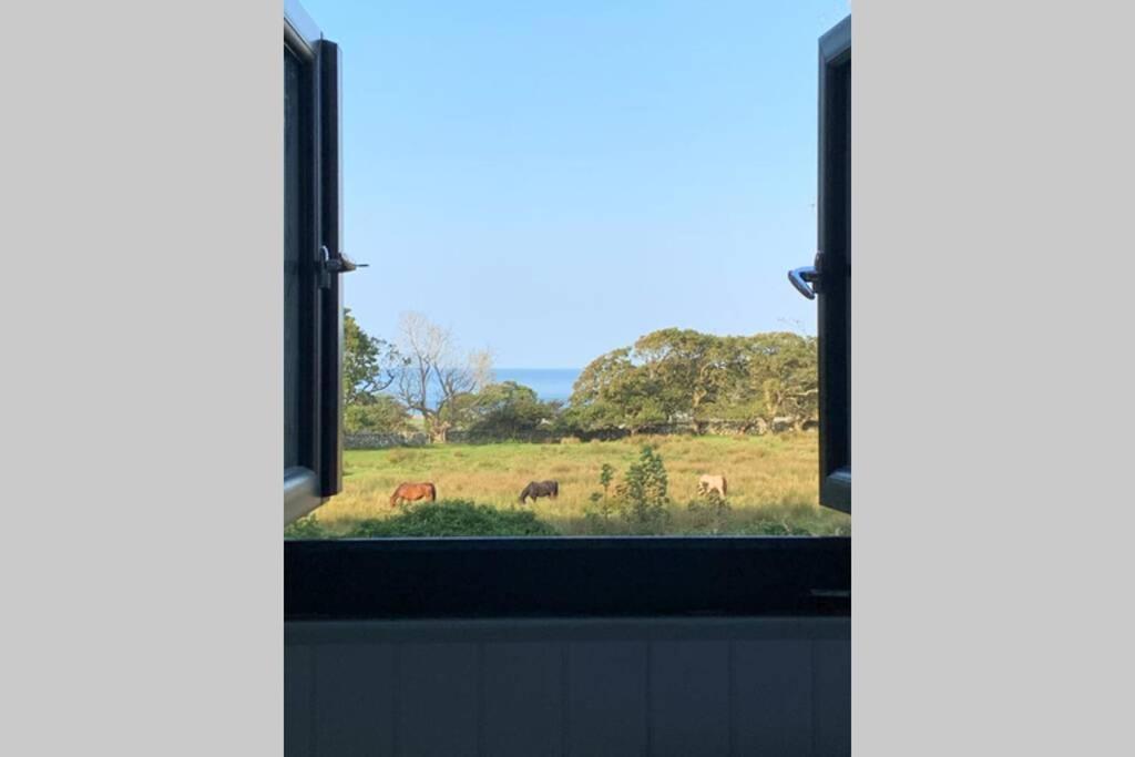 Lle Mary - Beautiful Views, Hot Tub, Secluded, Dog Welcome, Barmouth Llanddwywe Ngoại thất bức ảnh
